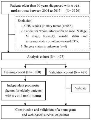 A Predictive Web-Based Nomogram for Elderly Patients Newly Diagnosed as Uveal Melanoma: A Population-Based Study